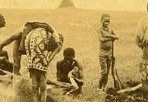 eSefarad