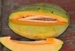 eSefarad