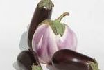 eSefarad