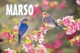 eSefarad