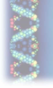 Sephardic genetic theory myth or reality? by Maria José Arévalo Gutiérrez